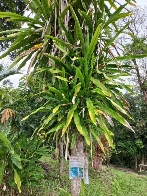 (大北马) 在山中/北笑山