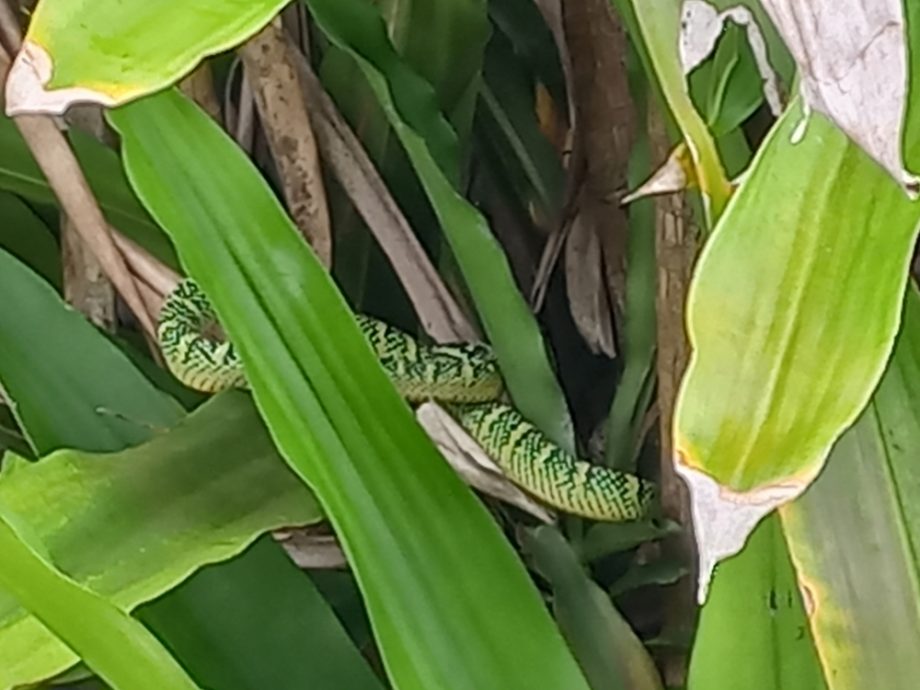 (大北马) 在山中/北笑山