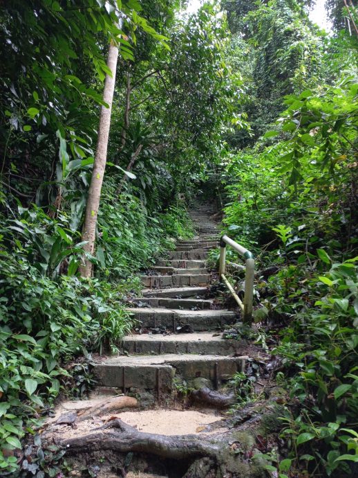 (大北马) 在山中/北笑山