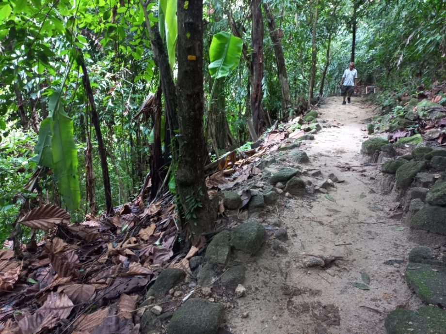 (大北马) 在山中/北笑山