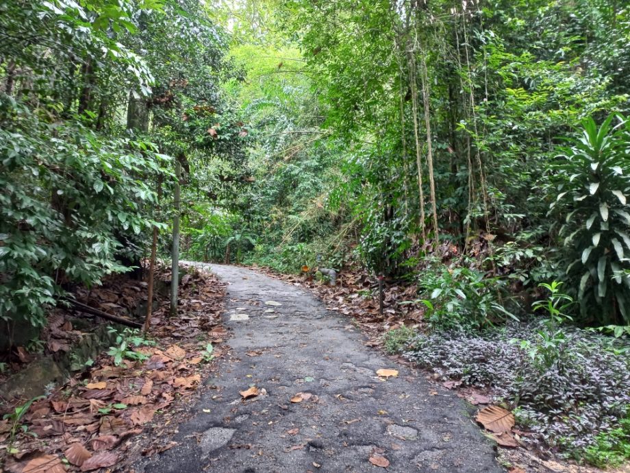 (大北马) 在山中/北笑山