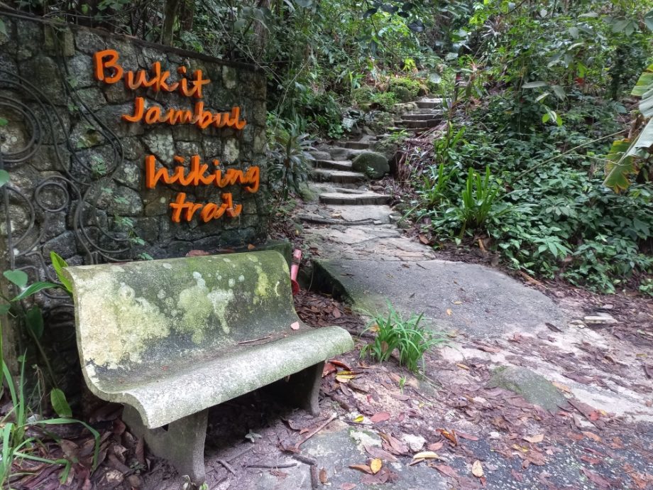 (大北马) 在山中/北笑山