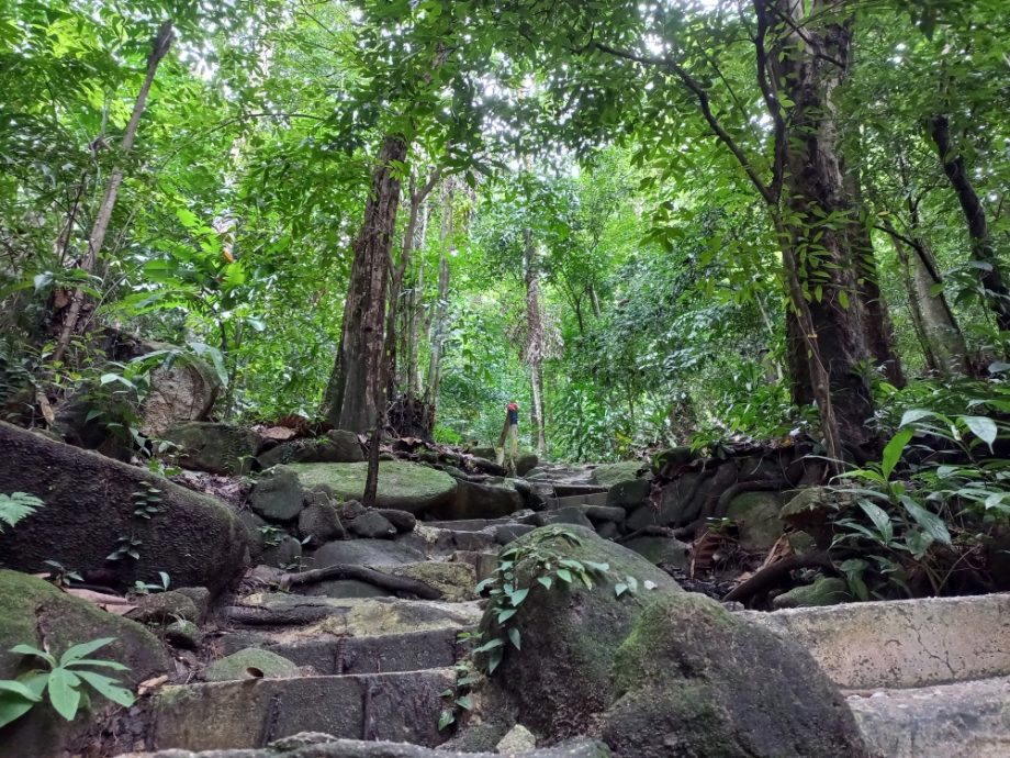 (大北马) 在山中/北笑山
