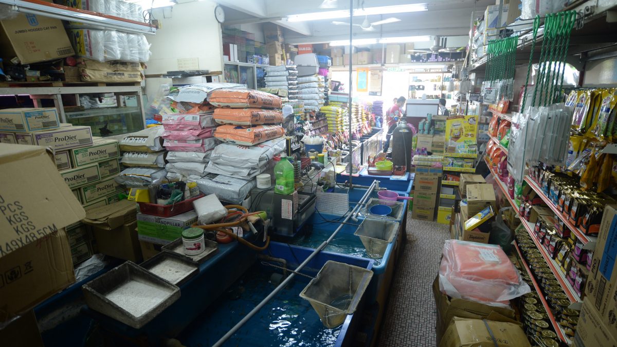 大都会-老就是宝/水族店