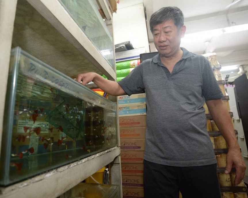 大都会-老就是宝/水族店