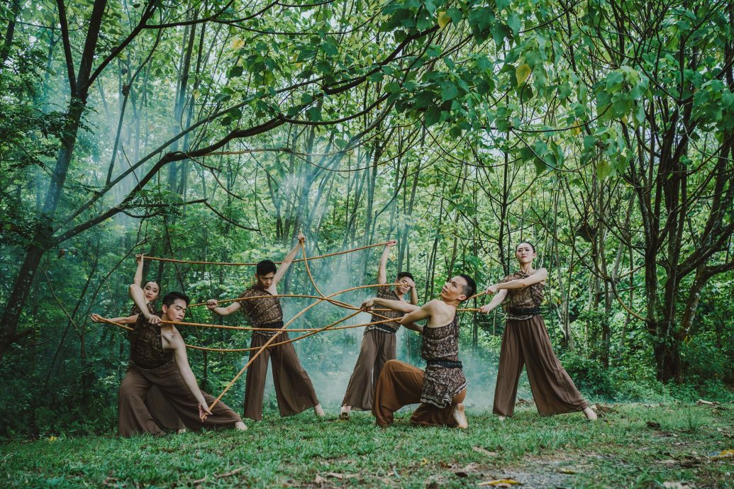 大都会/社区精彩主文《行绿》/4图