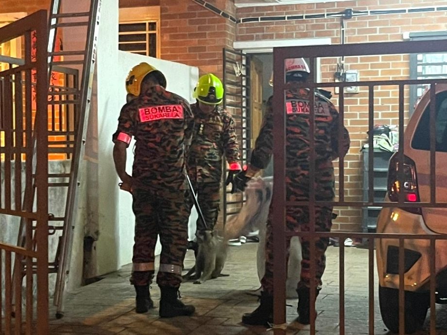 大都会／乱闯住家捣乱伤人，攻击性顽猴被生擒／3图