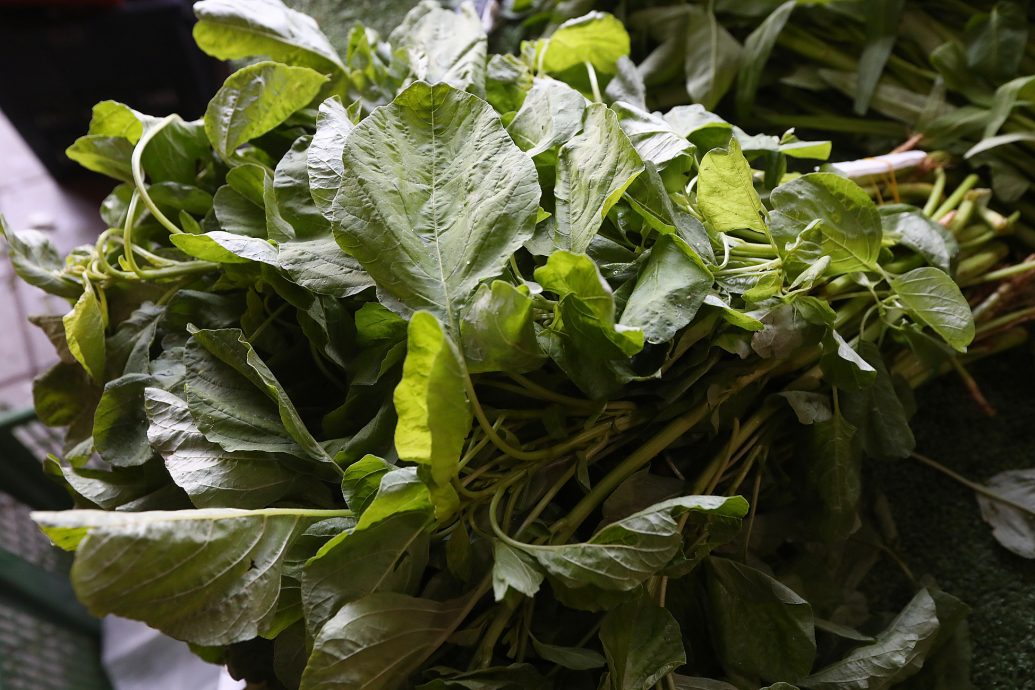 大都会/ME03头/雨季菜价