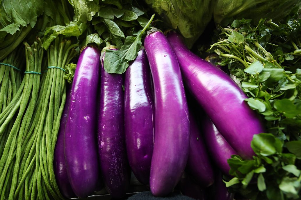 大都会/ME03头/雨季菜价