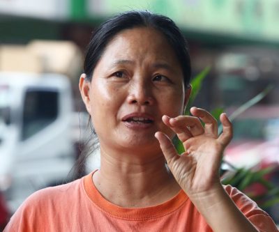 大都会/ME03头/雨季菜价