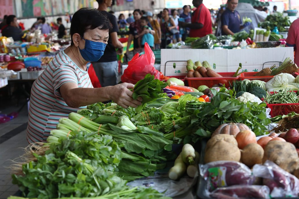 大都会/ME03头/雨季菜价