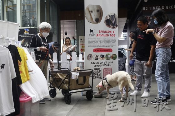 宠物友善商场先驱,带宠物来逛Jaya One!