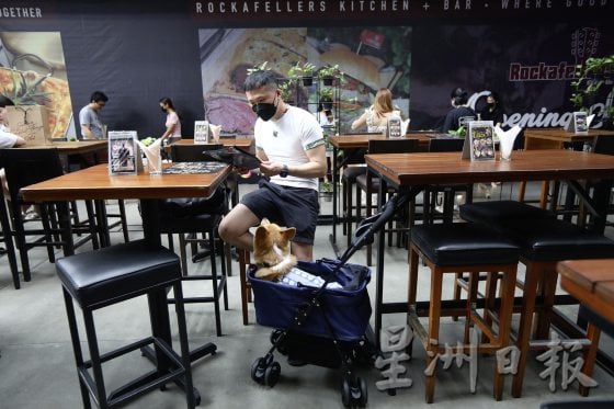 宠物友善商场先驱,带宠物来逛Jaya One!