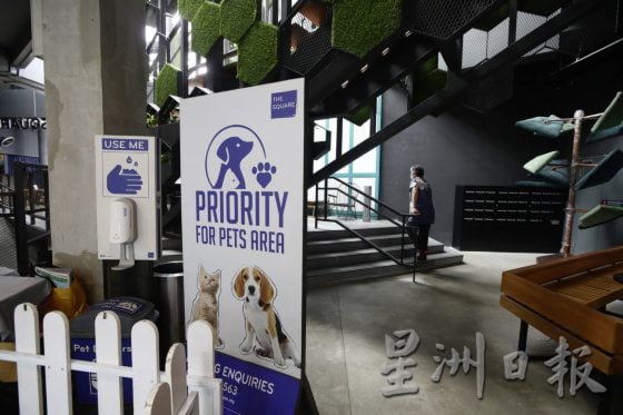 宠物友善商场先驱,带宠物来逛Jaya One!