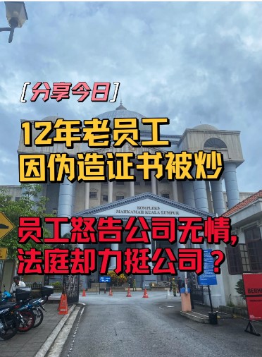工作12年无瑕疵服务 一次伪造证书被炒 员工：“公司应给第二次机会”