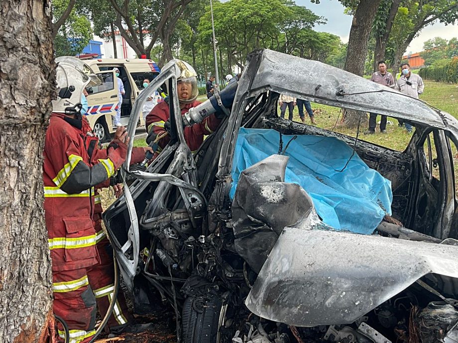 **已签发**柔:失控撞树,62岁狮城男被烧死车内