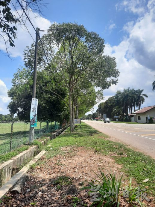 **已签发**柔:封面:【民生特工队】:实廊四条通往六条道路缺乏路灯,居民:不要亡羊才补牢
