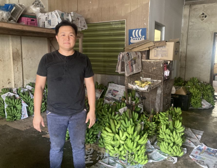 **已签发**柔:封面:【特稿】:香蕉好价格料维持至明年初,农民开心收购商却感压力