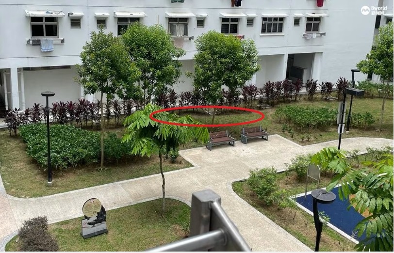 *已签发*柔;狮城二三事:狮城榜鹅组屋高楼抛物 脚车电视机微波炉全扔下楼