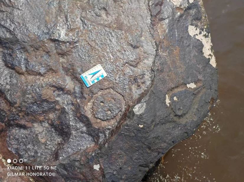 巴西亚马逊河大旱 2000年前岩雕人脸图案露出