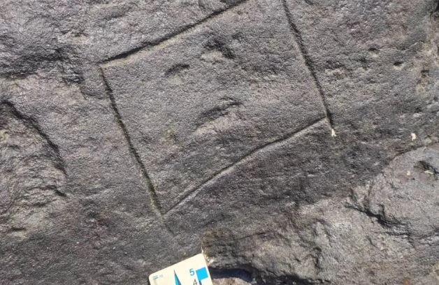 巴西亚马逊河大旱 2000年前岩雕人脸图案露出