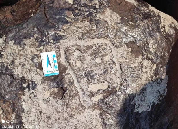 巴西亚马逊河大旱 2000年前岩雕人脸图案露出