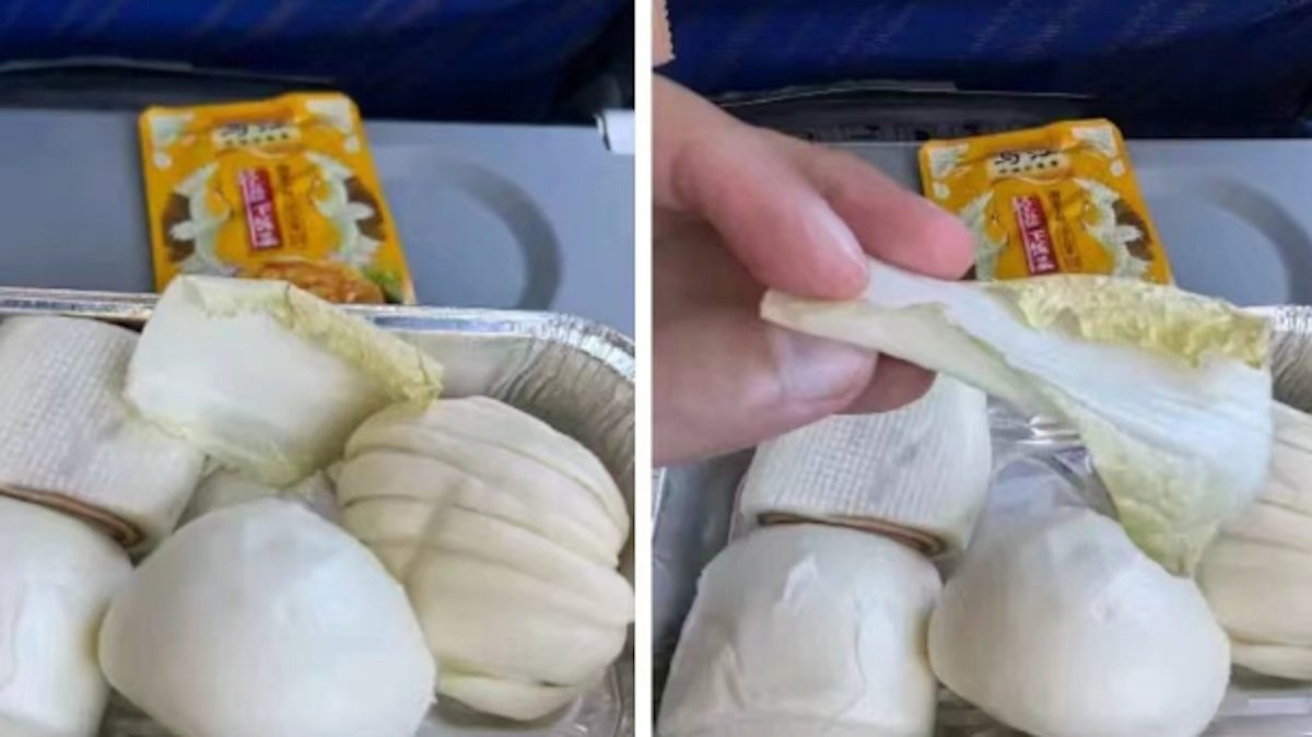 拚图)飞机餐仅4个馒头1片白菜 中国网红斥奇葩