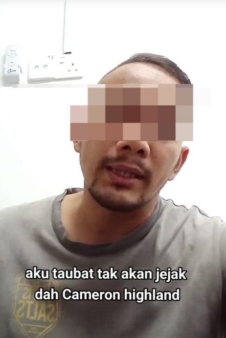 指金马仑消费高被砍菜头 男子:多么痛的领悟