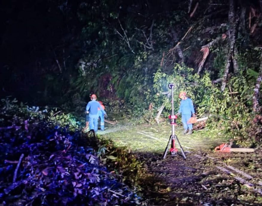 新古毛往返福隆港山路 深夜树倒打灯开路