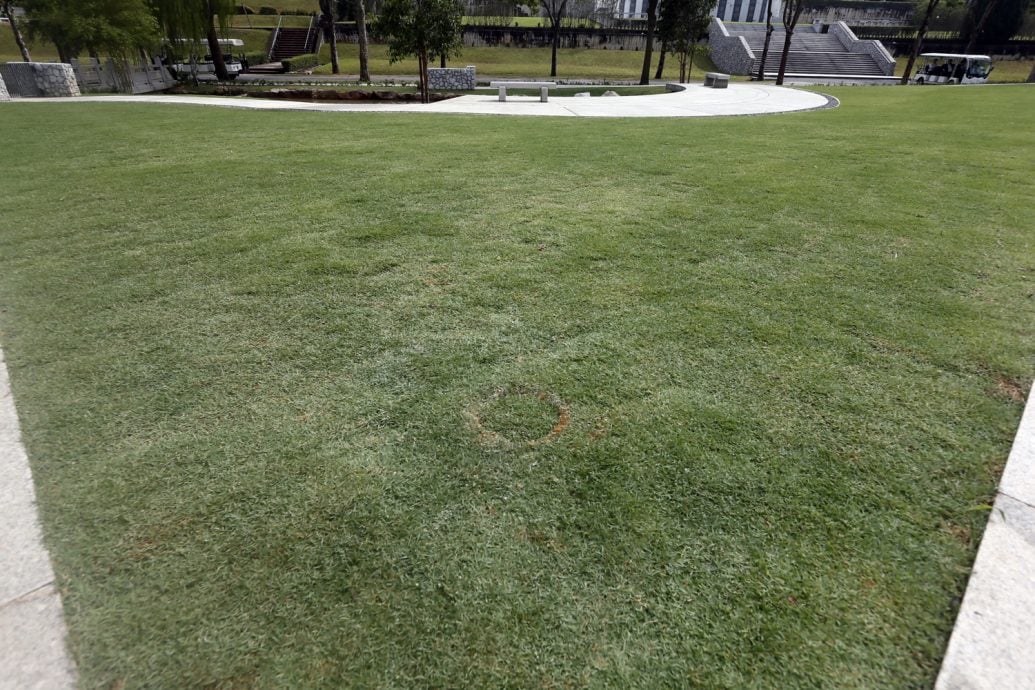 新闻专题/上篇/放下执念，把思念化作春泥