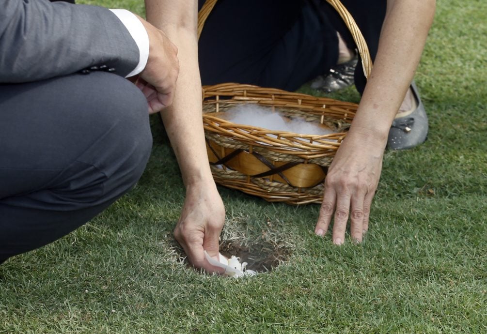 新闻专题/上篇/放下执念，把思念化作春泥