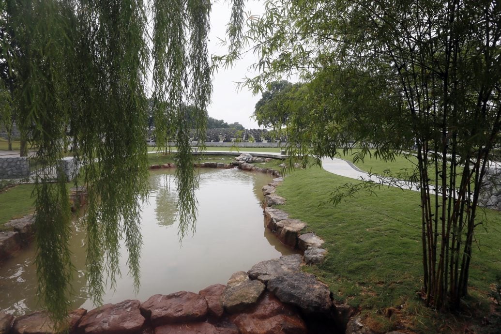 新闻专题/上篇/放下执念，把思念化作春泥