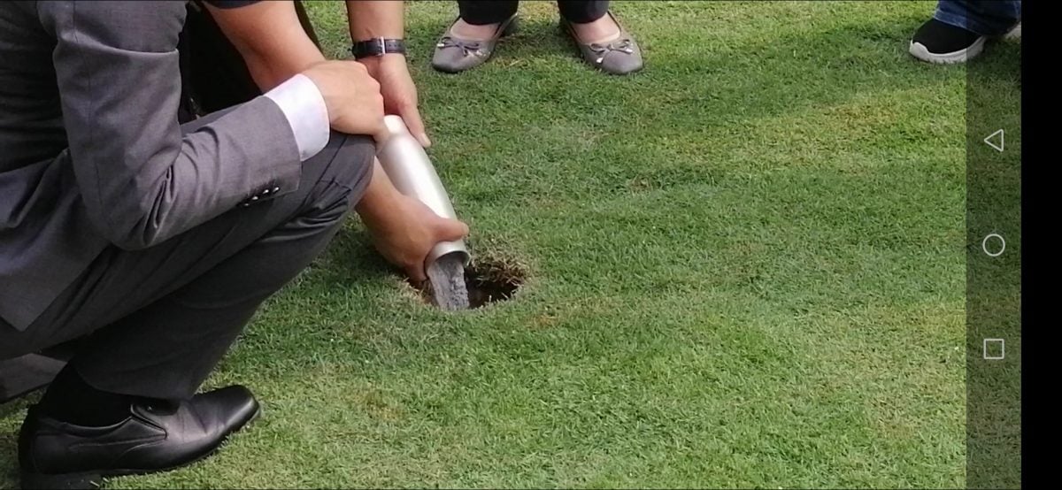 新闻专题/上篇/放下执念，把思念化作春泥