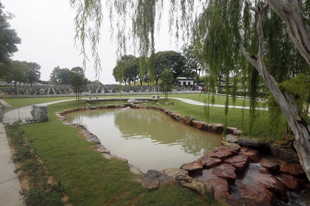 新闻专题/上篇/放下执念，把思念化作春泥