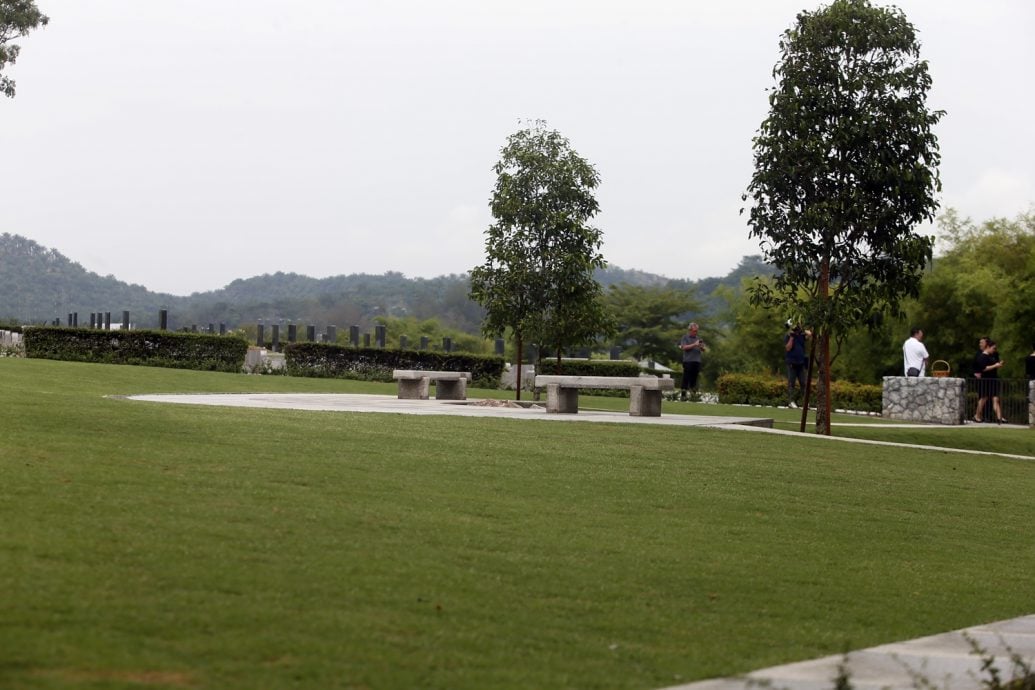 新闻专题/上篇/放下执念，把思念化作春泥