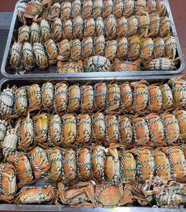 杭州1中学午餐每人一只大闸蟹 老师:希望学习横著走