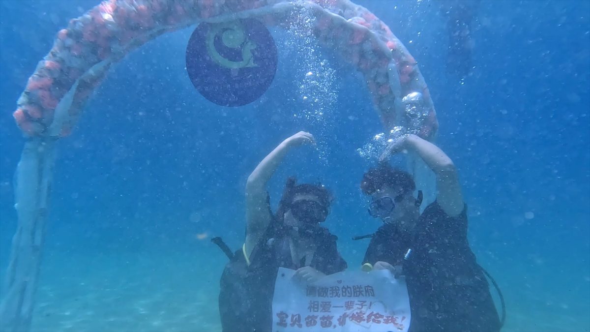 林静苗点头嫁明年才注册 有赞助就办婚宴蜜月 