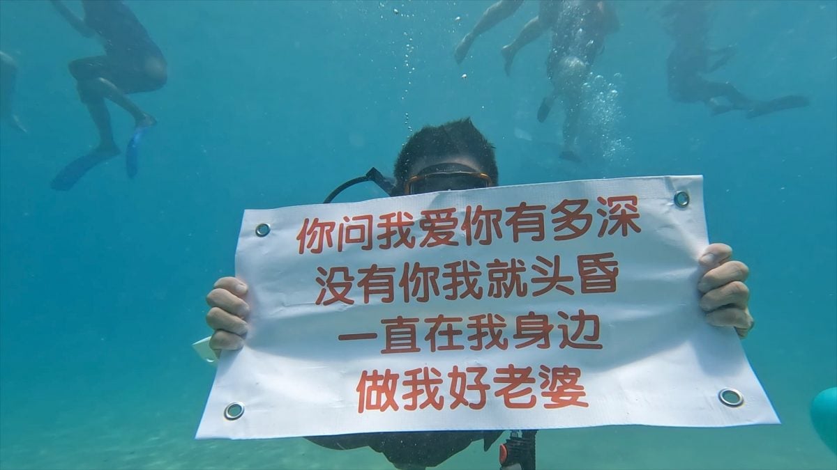 林静苗点头嫁明年才注册 有赞助就办婚宴蜜月 