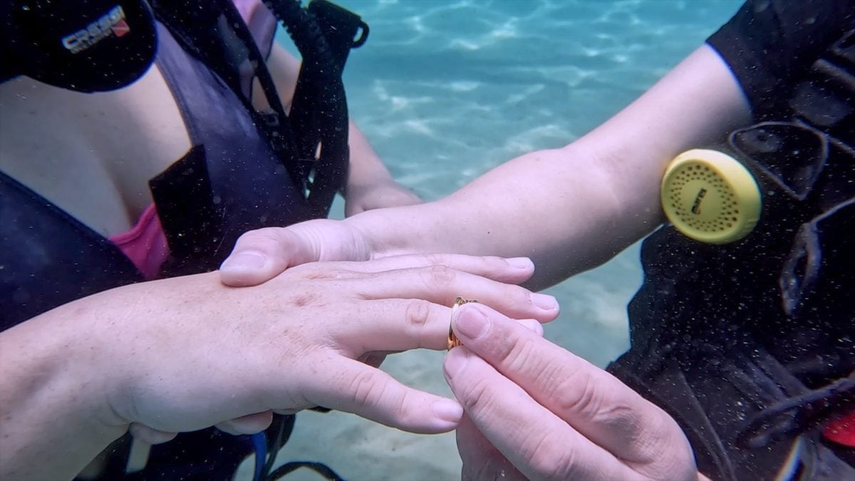 林静苗点头嫁明年才注册 有赞助就办婚宴蜜月 