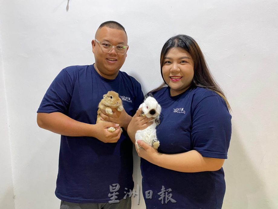 柔：【宠物萌萌哒】（10月7日刊）：每只性格习性都不同，情侣档养萌兔有心得