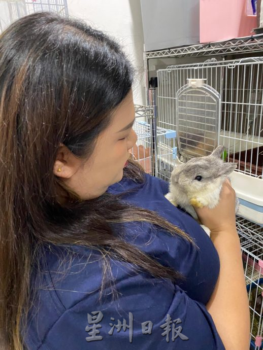 柔：【宠物萌萌哒】（10月7日刊）：每只性格习性都不同，情侣档养萌兔有心得