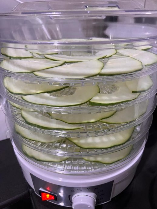 柔：【宠物萌萌哒】（10月7日刊）：每只性格习性都不同，情侣档养萌兔有心得