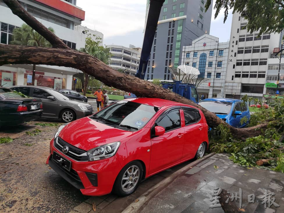 柔:新闻:午后雷电交加大风大雨 新山市区多处面目非