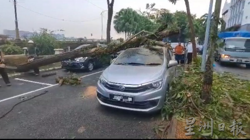 柔:新闻:午后雷电交加大风大雨 新山市区多处面目非