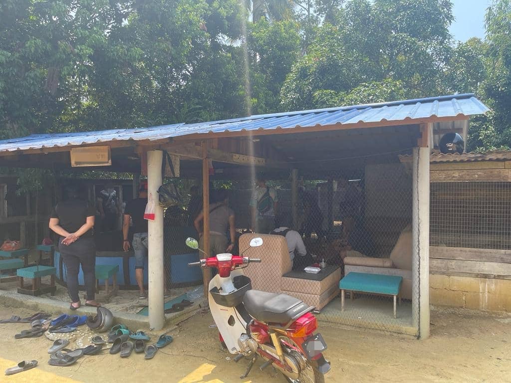 柔:新闻:涉及斗鸡赌博活动,13本地男3外籍男落网