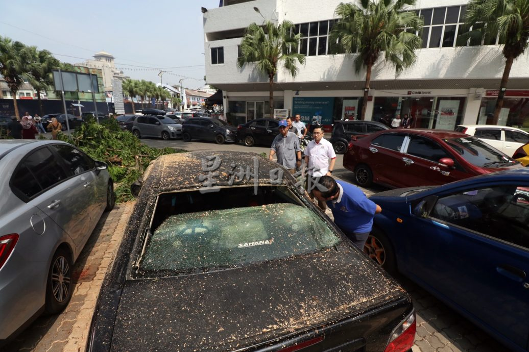 柔：新闻：遭暴雨袭击后已善后  陈旭年街恢复热闹