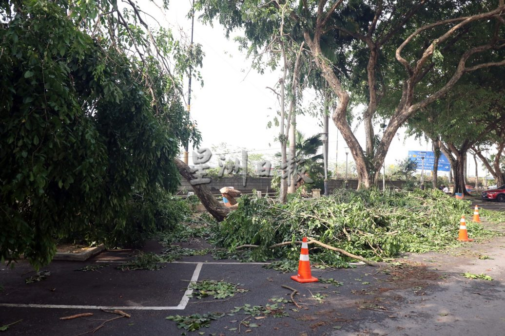 柔：新闻：遭暴雨袭击后已善后  陈旭年街恢复热闹