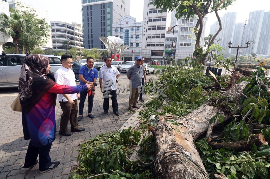 柔：新闻：遭暴雨袭击后已善后  陈旭年街恢复热闹