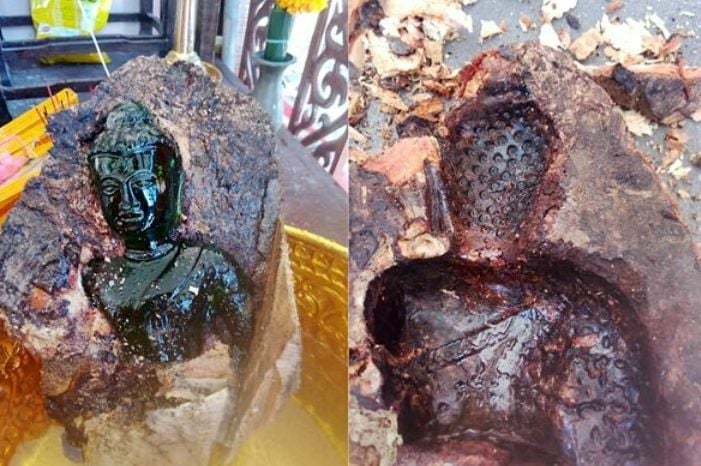  泰国寺庙芒果树下  “长”出百年佛像