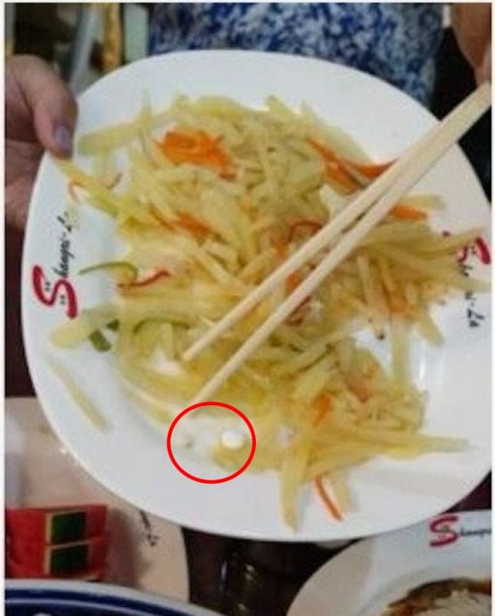 泰国游饭菜被下2药丸怕成猪仔 中国游客：没化验结果不签同意书！